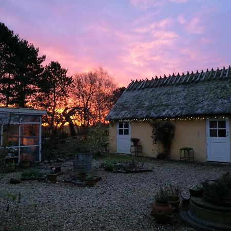 Bella Bed And Breakfast Stevns Arnoje 외부 사진